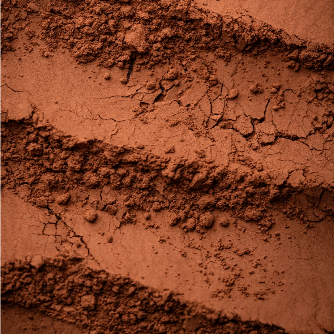 Monka® - Choco fleur de sel (Bio) - Pure Tea