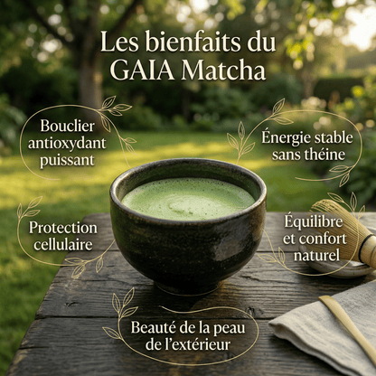 Gaïa Matcha - Pure Tea